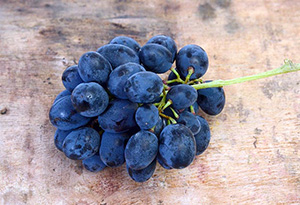 葡萄品种-佳丽酿