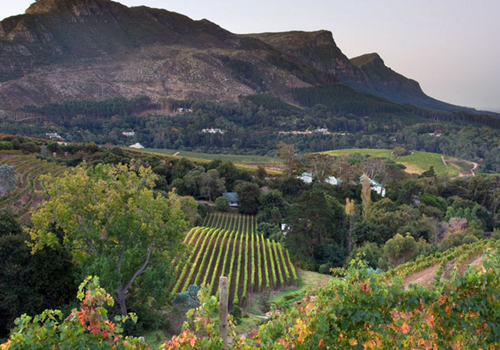 南非葡萄酒活动四月将在香港开展