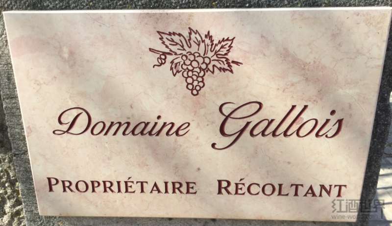勃艮第之旅中间站：红酒世界实地解读多米尼克·加卢瓦酒庄