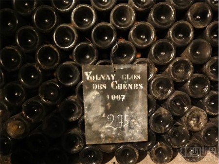 红酒世界勃艮第名庄探访之旅——雷穆父子酒庄