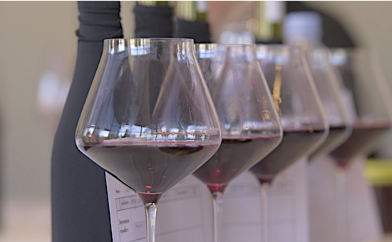 博若莱新酒：世界上最“快”的葡萄酒