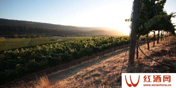 加州北海岸鲜为人知的葡萄酒产区