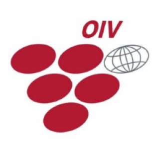 2023年OIV奖获奖者在巴黎庆祝