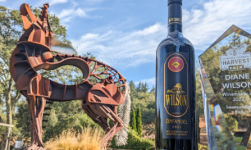 黛安威尔逊在2023年索诺玛县丰收公平葡萄酒大赛中第七次赢得抽奖