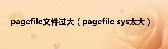 pagefile文件过大（pagefile sys太大）