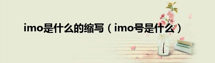 imo是什么的缩写（imo号是什么）
