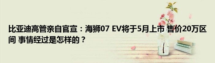 比亚迪高管亲自官宣：海狮07 EV将于5月上市 售价20万区间 事情经过是怎样的？